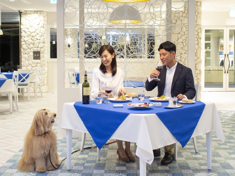 夕朝食は愛犬と一緒に